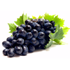 Bunch of dark grapes with green leaves 