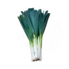 Premium leek vegetables in a 
30-piece box