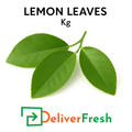 Fresh Lemon Leaves – Aromatic Leaves Per Kg – DeliverFresh.au Melbourne