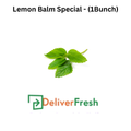 Lemon Balm Special - (1Bunch)