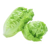 Lettuce-Baby-Cos-Hearts-Twin-Pack