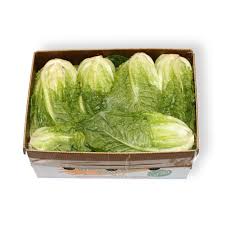 Lettuce Twin Cos - Box