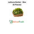 Lettuce Butter - Box (6 Pieces)