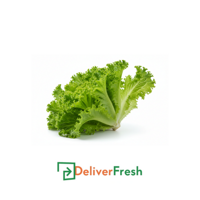 Lettuce Coral Green with DeliverFresh