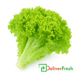 Lettuce Coral Green – Fresh Crisp Lettuce Per Piece – DeliverFresh.au Melbourne