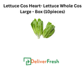 Lettuce Cos Heart- Lettuce Whole Cos Large - Box (10pieces)