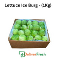 Lettuce Ice Burg - (1Kg)