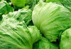 Lettuce Ice Burg - 1 Kg DeliverFresh