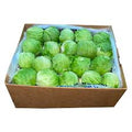 Lettuce Ice Burg - 1 Kg