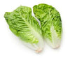 Lettuce Twin Cos - Box (10 Packs)
