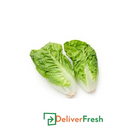 Baby Twin Cos Lettuce -(2 Packs)