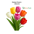 Display Flowers - (1Bunch)