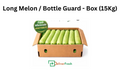 Long Melon / Bottle Guard - Box (15Kg)