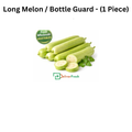 Long Melon / Bottle Guard - (1 Piece)