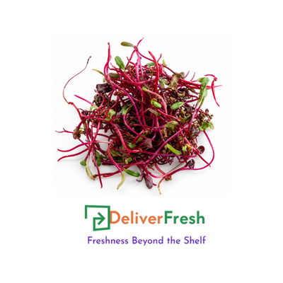 Micro Chard Red (Pot)