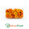 Marigold Flower-( 1 Punnet)