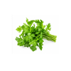 Micro Chervil - (Bunch)
