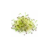 Micro Chives