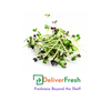 Micro Mustard Cress - (Pot)
