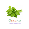 Micro Parsley - (Pot)