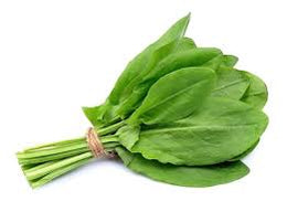 Micro Sorrel - Punnet