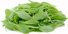 Micro Sorrel - Punnet