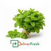 Micro Mint