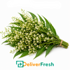 Neem Flower -(1 Bunch)