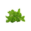 Oregano - Bunch DeliverFresh