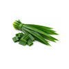 Pandan Leaf - (Bunch)