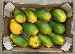 Papaya