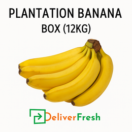 Plantation Banana 12kg Box – Fresh Bananas Delivery Melbourne – DeliverFresh.au
