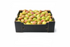Qtee_pears_box_10kg
