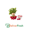 Radish Red 1Bunch