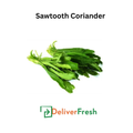Sawtooth Coriander
