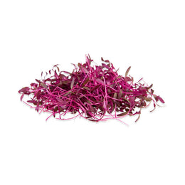 Red amaranth micro herbs
