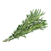 Rosemary - Bunch DeliverFresh