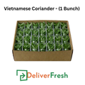 Vietnamese Coriander - (1 Bunch)