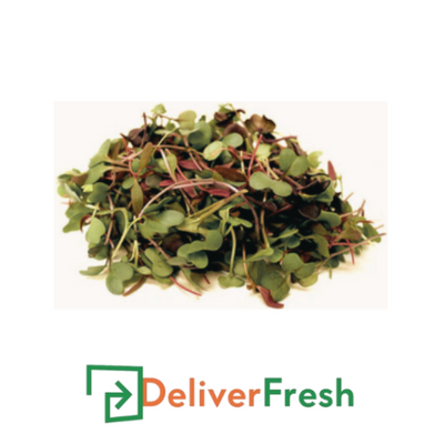 Sal Micro-(1Packet) with Deliverfresh