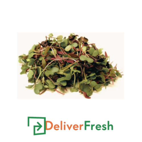 Sal Micro-(1Packet) with Deliverfresh