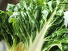Silverbeet - Bunch DeliverFresh