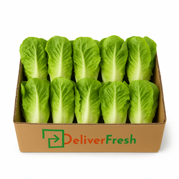 Single Cos Lettuce Box 10 Bunches – Fresh Salad Greens Melbourne – DeliverFresh.au