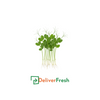 Snow pea tendrils with roots on a white background, featuring the DeliverFresh 