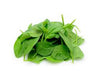 Fresh green spinach leaves on a white background