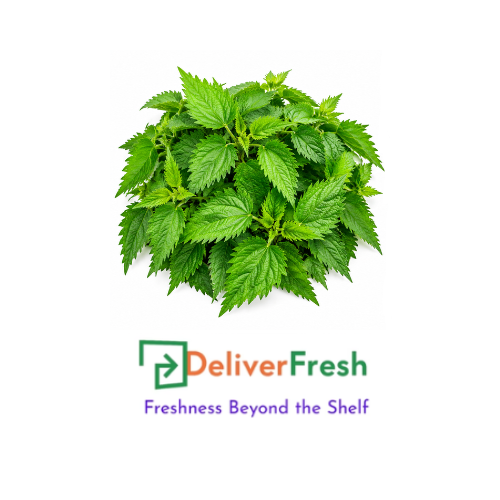 Stinging Nettle - (Bunch)