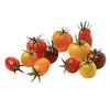 Tomato-Cherry-Medley-Heirloom-Mix-Coloured