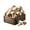 Mushroom Portobello 3Kg - Box DeliverFresh