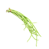 Snake Beans Special - Kg DeliverFresh