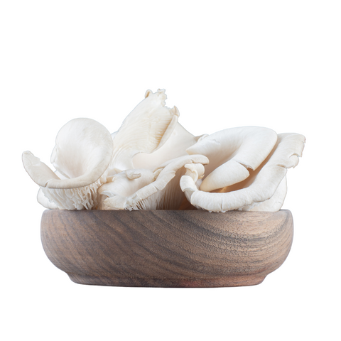 Mushroom Oyster - (1 Punnet)