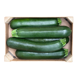 Zucchini 10kg- Box